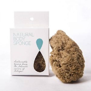 Organic natural body sea sponge