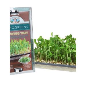 Microgreens Growing Tray
